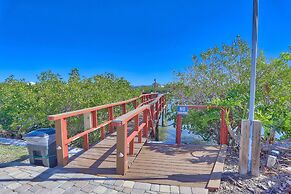 Sea Shell 14 - Premier