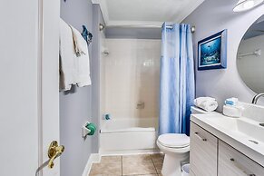 Sea Shell 14 - Premier