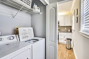 Sea Shell 14 - Premier