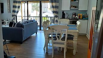 Sea Shell 14 - Premier