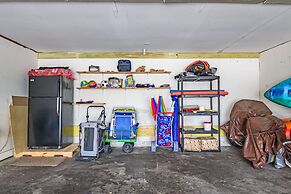 Sea Shell 14 - Premier