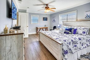 Sea Shell 14 - Premier