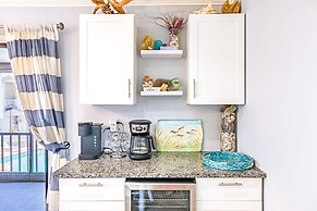 Sea Shell 14 - Premier