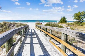 Sea Shell 14 - Premier