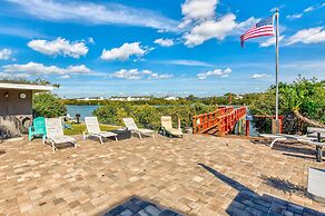 Sea Shell 14 - Premier