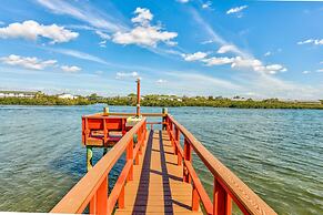 Sea Shell 14 - Premier