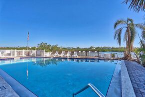 Sea Shell 14 - Premier