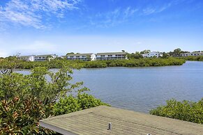 Sea Shell 14 - Premier