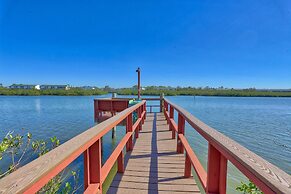 Sea Shell 14 - Premier