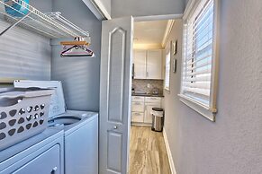 Sea Shell 14 - Premier