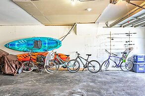 Sea Shell 14 - Premier