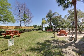 Palms Of Treasure Island #210