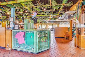 Harbourside 7716- Splash On The Rocks