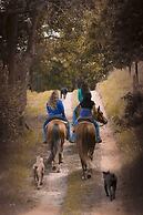 Cabana Espada de São Jorge