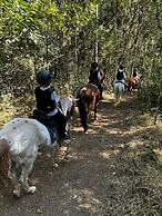 Cabana Espada de São Jorge