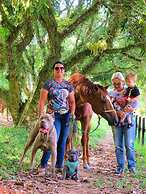 Cabana Espada de São Jorge