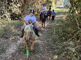 Cabana Espada de São Jorge