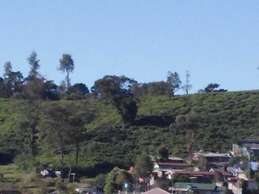 Frosty Heaven Guest House