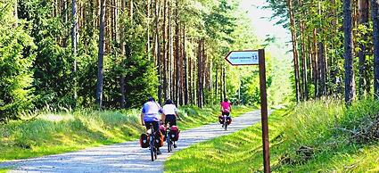 Rentumi Hostel Gryfino Noclegi Pokoje