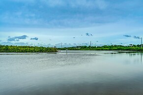 Eclectic Tarpon Springs Home: Bayou Across Street!