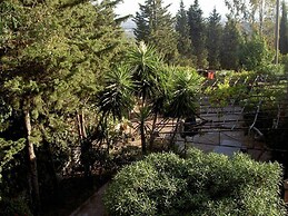 La Pergola, Holiday Home in Tuscany on the Hill and Near the Sea, for 