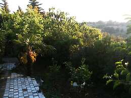 La Pergola, Holiday Home in Tuscany on the Hill and Near the Sea, for 