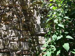 La Pergola, Holiday Home in Tuscany on the Hill and Near the Sea, for 