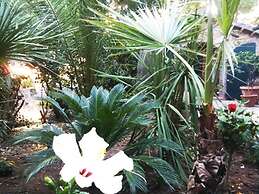 La Pergola, Holiday Home in Tuscany on the Hill and Near the Sea, for 