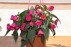 Kostaspant Apartment