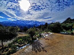 Thymes Traditional House