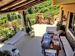 Thymes Traditional House