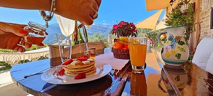 Thymes Traditional House