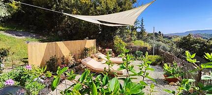 Thymes Traditional House