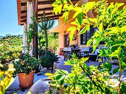 Thymes Traditional House