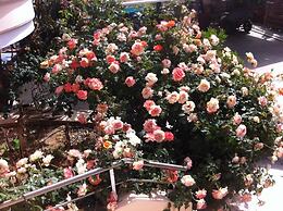 Ilias Villa IN Chania