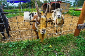 Renovated Blaine Farmhouse w/ Heated Pole Barn!