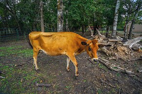 Renovated Blaine Farmhouse w/ Heated Pole Barn!