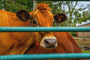 Renovated Blaine Farmhouse w/ Heated Pole Barn!