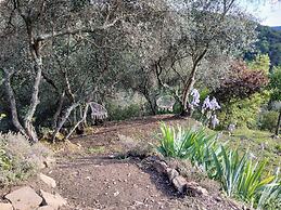 Nature's Rustico - Quiet Location - Picturesque