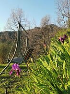 Nature's Rustico - Quiet Location - Picturesque
