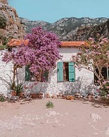 Glamping Canvas Butterfly Valley