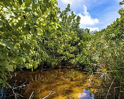 Fushi Beach Fenfushi
