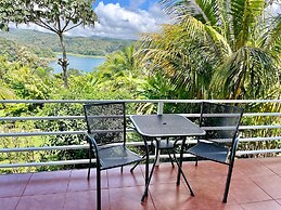 The Fruit Tree Garden Bromeliad Suite