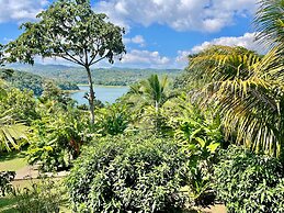The Fruit Tree Garden Bromeliad Suite
