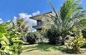 The Fruit Tree Garden Bromeliad Suite