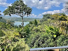 The Fruit Tree Garden Bromeliad Suite