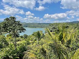 The Fruit Tree Garden Bromeliad Suite