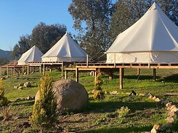 Lago Valle Wine Glamping