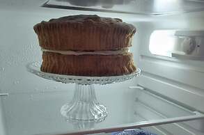 Glamping Cabin - Great for Hikers - Breakfast Inc!