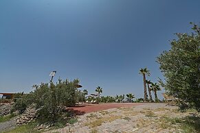 Le Parc des Oliviers